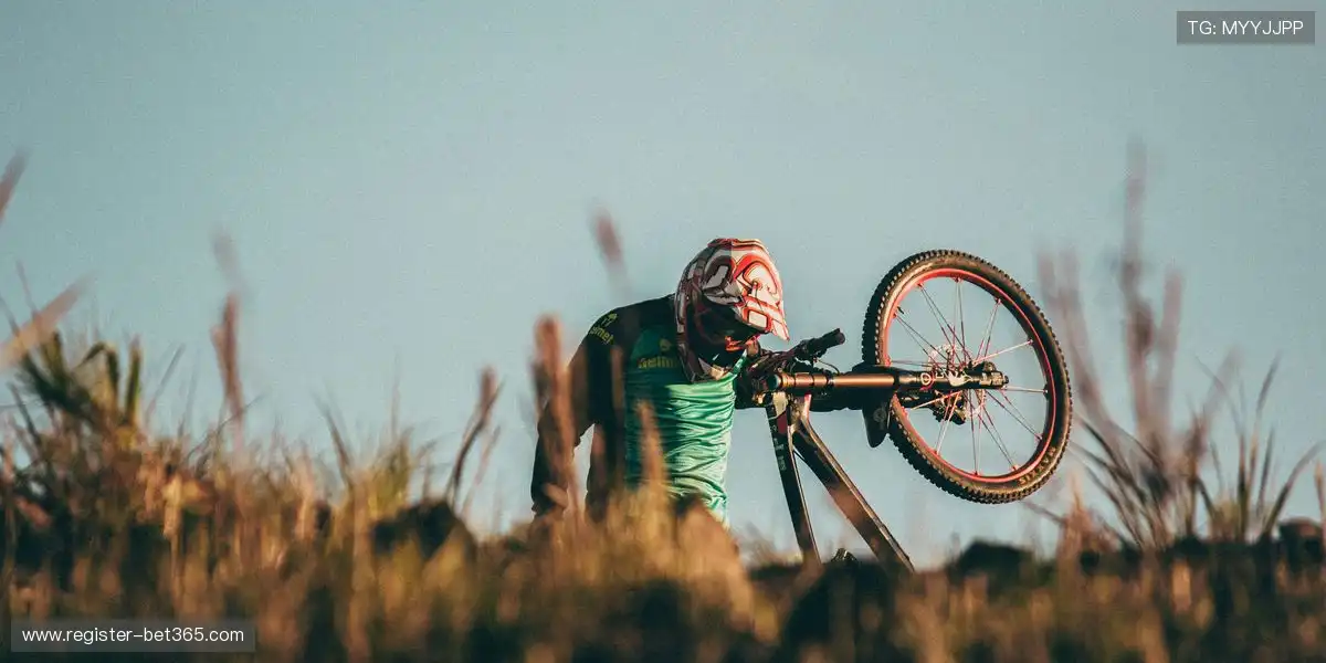 山东春节期,间公共体育,场馆持续对,sbo体育,bet9,sports官网,体育竞猜平台