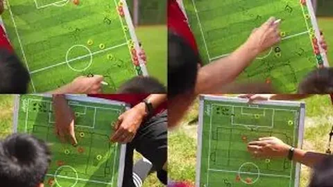 12強賽採會制，中越澳無主场优势